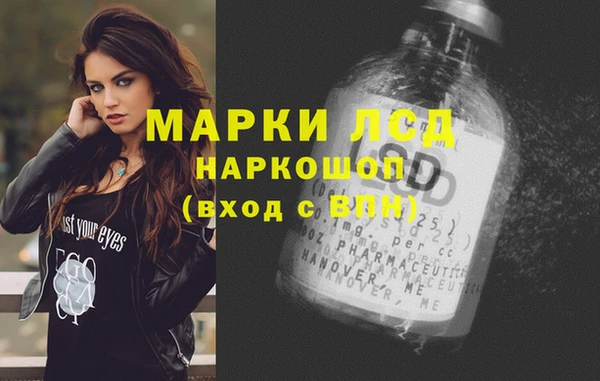 ПСИЛОЦИБИНОВЫЕ ГРИБЫ Алагир
