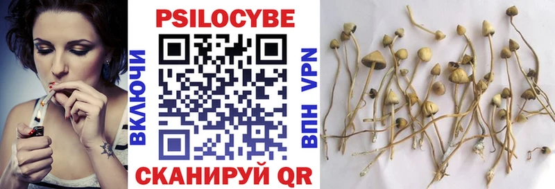 кракен зеркало  Вязьма  Псилоцибиновые грибы GOLDEN TEACHER 