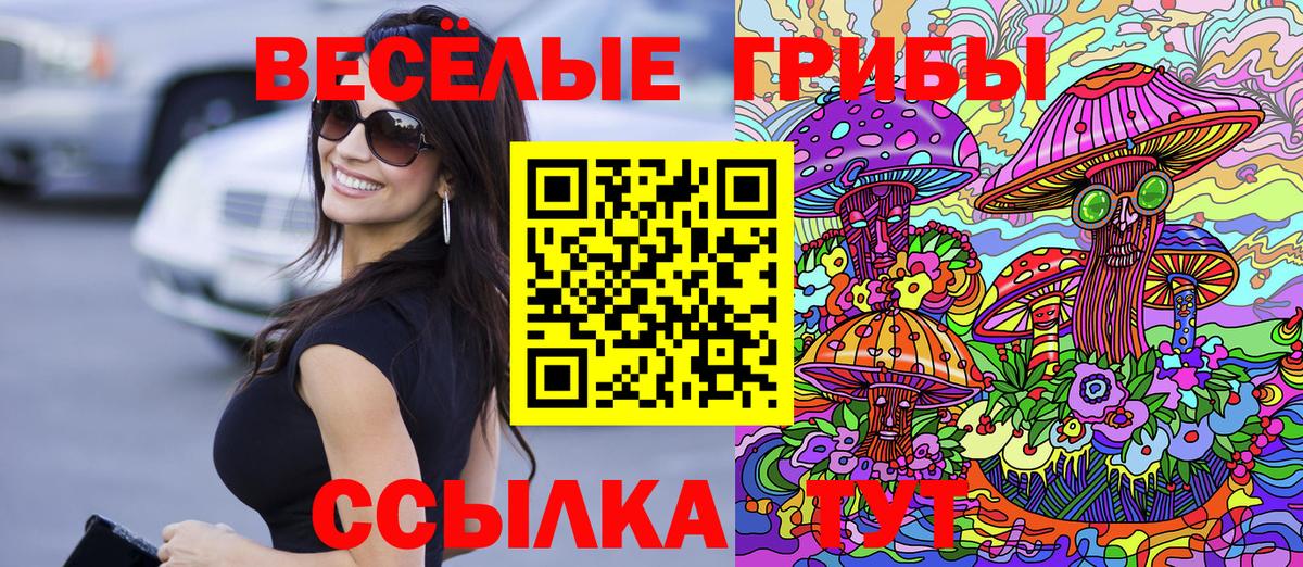 Галлюциногенные грибы Psilocybine cubensis Вязьма