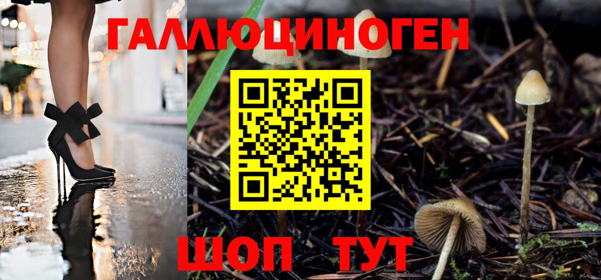 Галлюциногенные грибы Вязьма