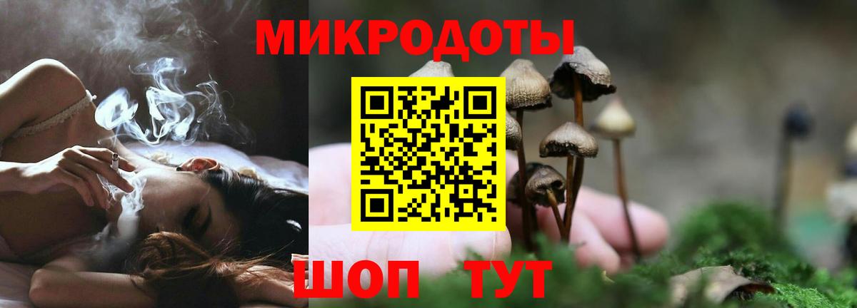 Вязьма  Псилоцибиновые грибы Psilocybe  Галлюциногенные грибы Psilocybine cubensis  Вход с VPN 