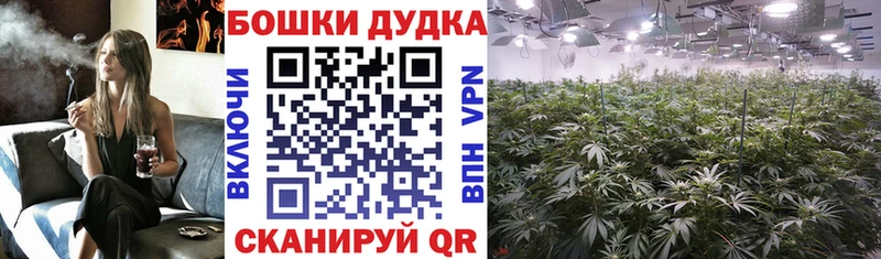 Конопля OG Kush  Вязьма 